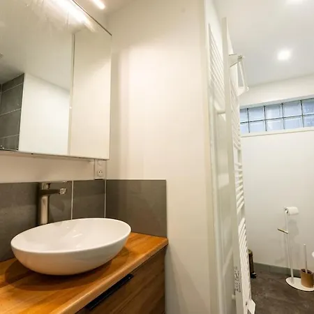 Apartment « chez Alphonse » Hyper Centre Valence